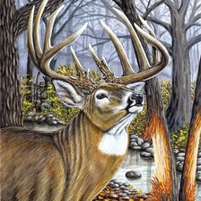 Схема вышивки «№2563392»