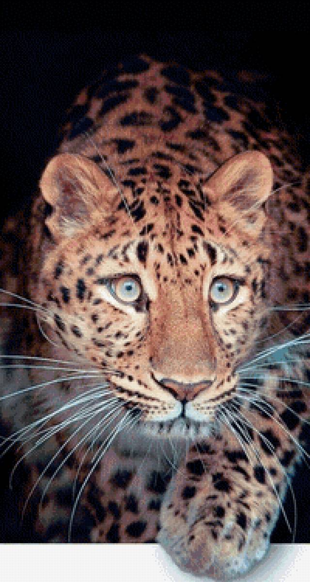 №2563461 - предпросмотр