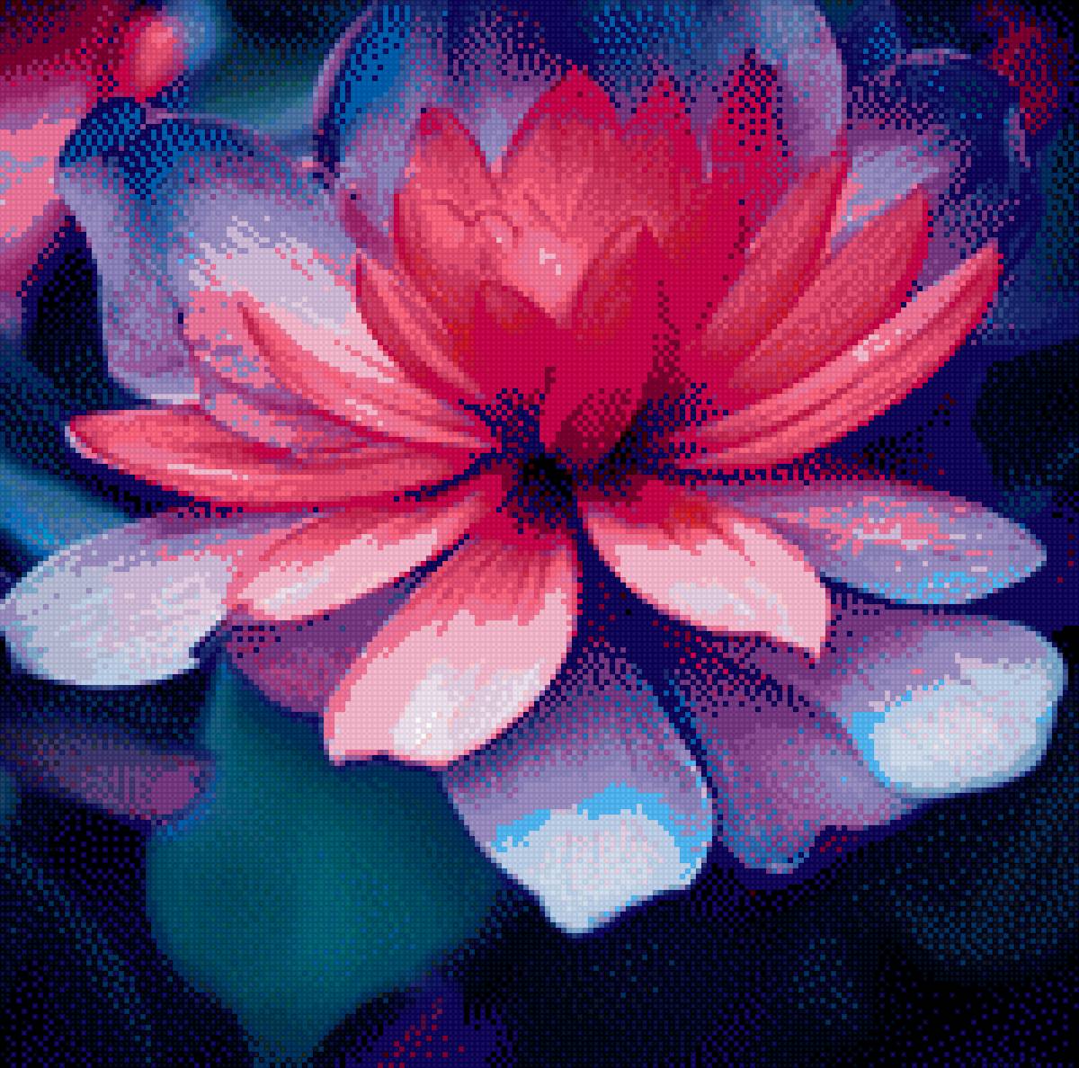 Лотос - цветы - предпросмотр