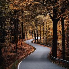 Схема вышивки «Осень»