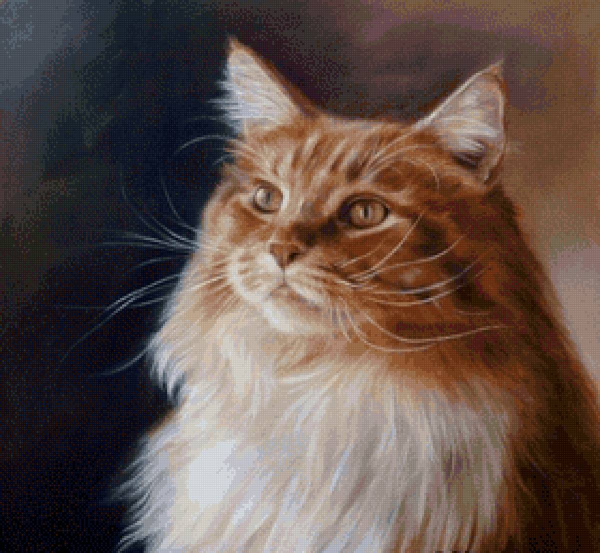 Рыжий кот - животные, кошки, кошачий портрет - предпросмотр