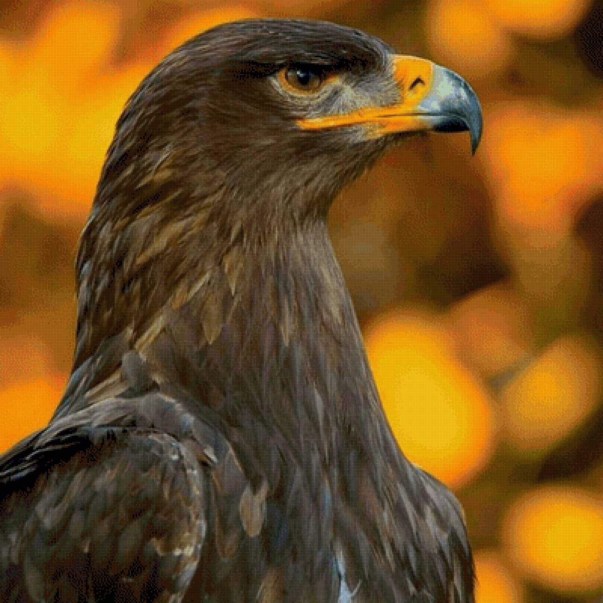 №2564037 - предпросмотр