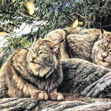 Схема вышивки «№2564236»