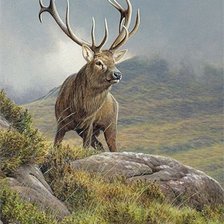 Схема вышивки «№2564470»