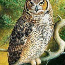 Схема вышивки «№2564526»