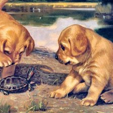 Схема вышивки «№2564553»