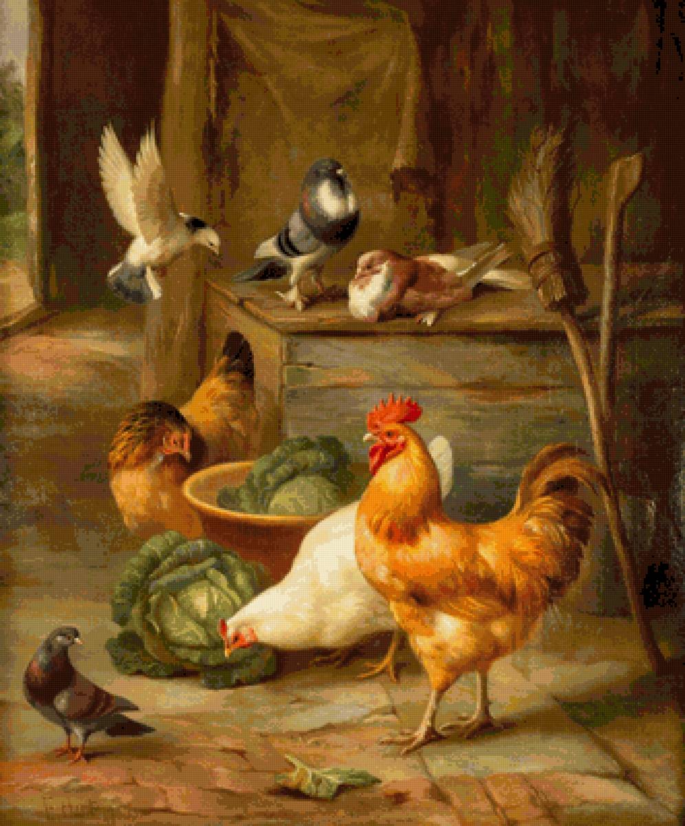 Птичий двор - птицы - предпросмотр