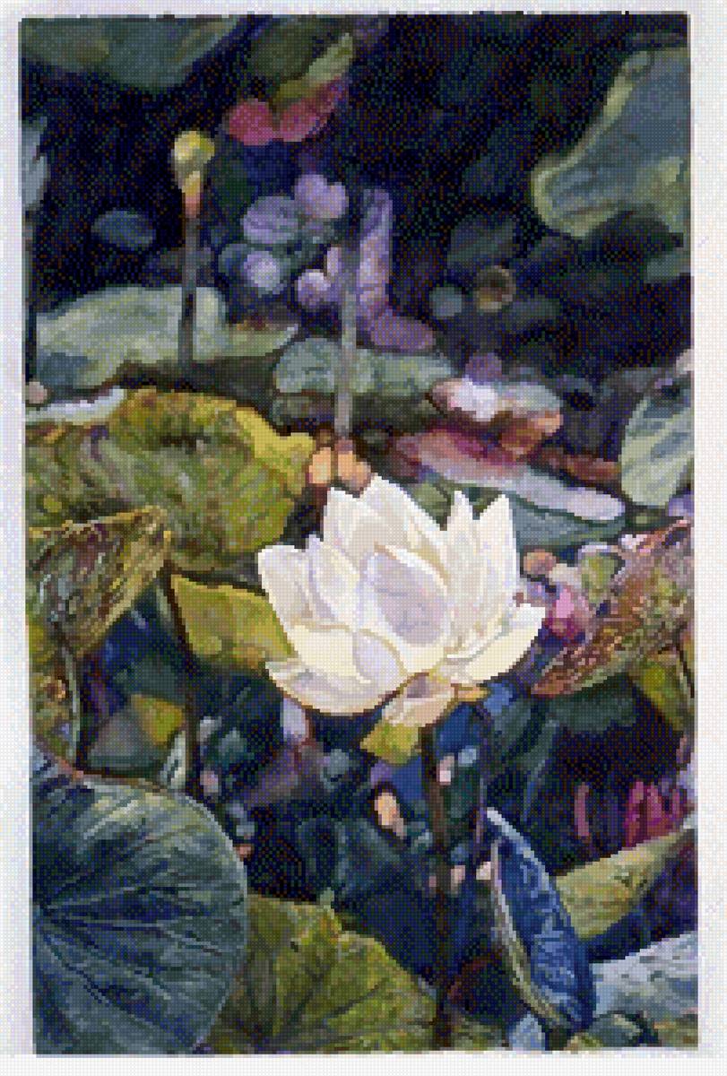 Озеро лотосов - пейзаж, озеро, кувшинки, лотос, вода - предпросмотр