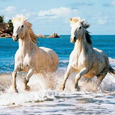 Схема вышивки «№2565241»