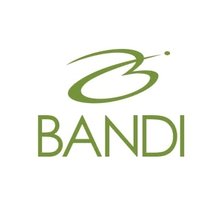 Схема вышивки «Банди»