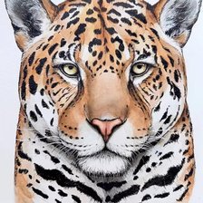 Схема вышивки «Экзотический кот»