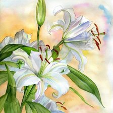 Схема вышивки «Акварельные лилии»