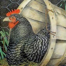 Схема вышивки «Курочка ряба»