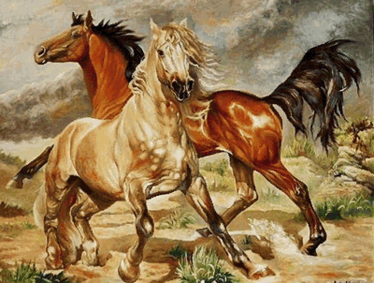 №2566892 - животные, кони - предпросмотр