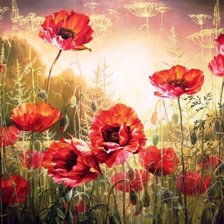 Схема вышивки «№2567195»