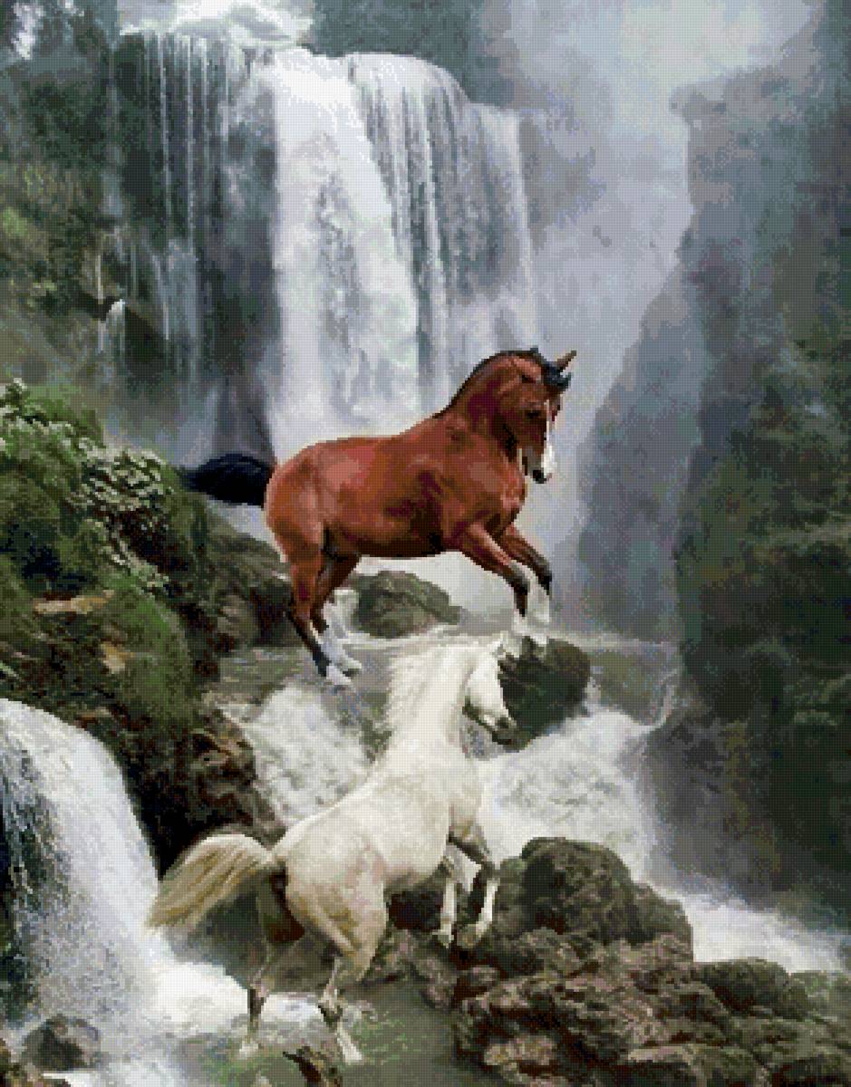 №2567528 - кони, природа, животные - предпросмотр