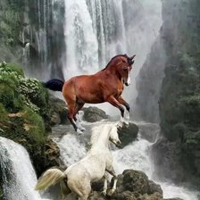 Схема вышивки «№2567528»