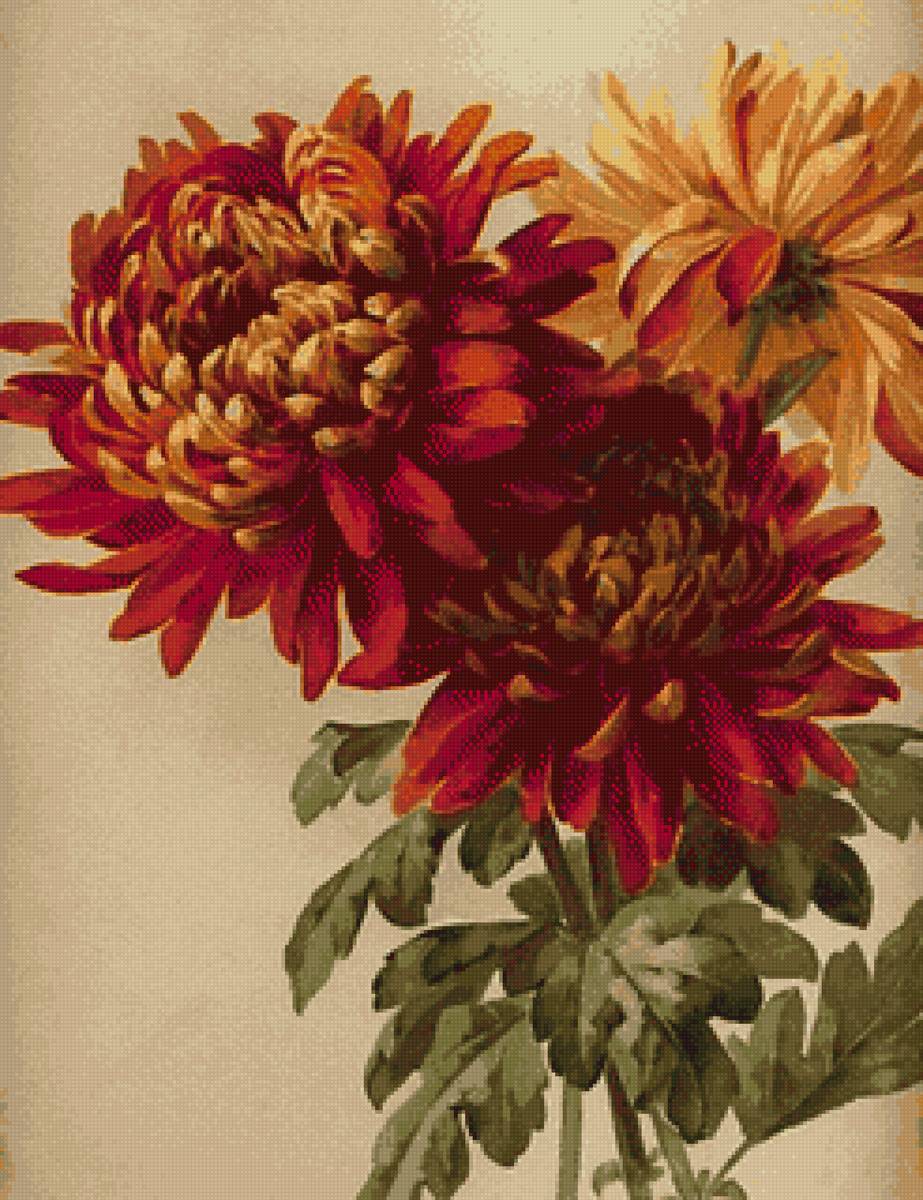 Хризантемы - цветы, хризантемы, живопись - предпросмотр