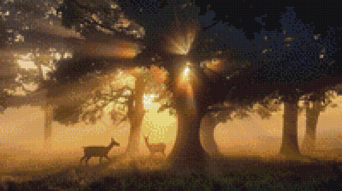 Лес в тени - предпросмотр