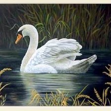 Схема вышивки «№2568104»