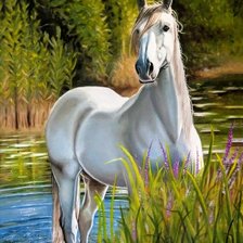 Схема вышивки «№2568114»