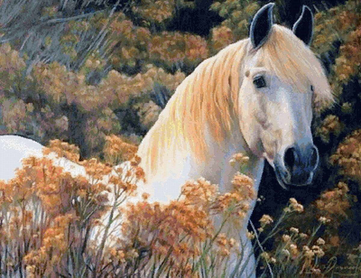 №2568127 - конь, природа, животные - предпросмотр