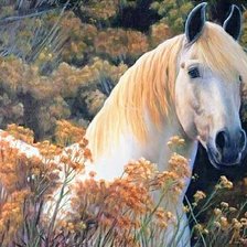 Схема вышивки «№2568127»