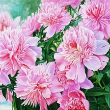 Схема вышивки «№2568263»