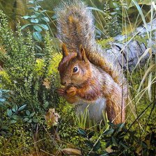 Схема вышивки «№2568319»