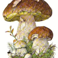 Схема вышивки «№2569038»