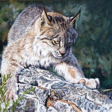 Схема вышивки «№2569421»