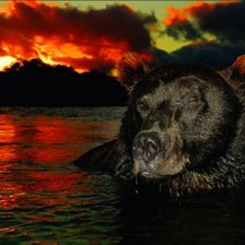 Схема вышивки «Медведь на закате»