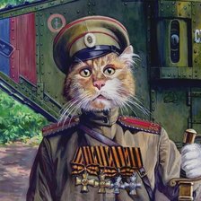 Боевой кот, пнк