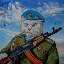 Боевой кот, пнк