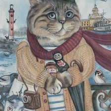 Боевой кот, пнк