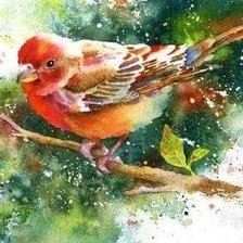 Схема вышивки «№2569977»