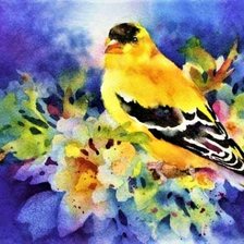 Схема вышивки «№2569983»