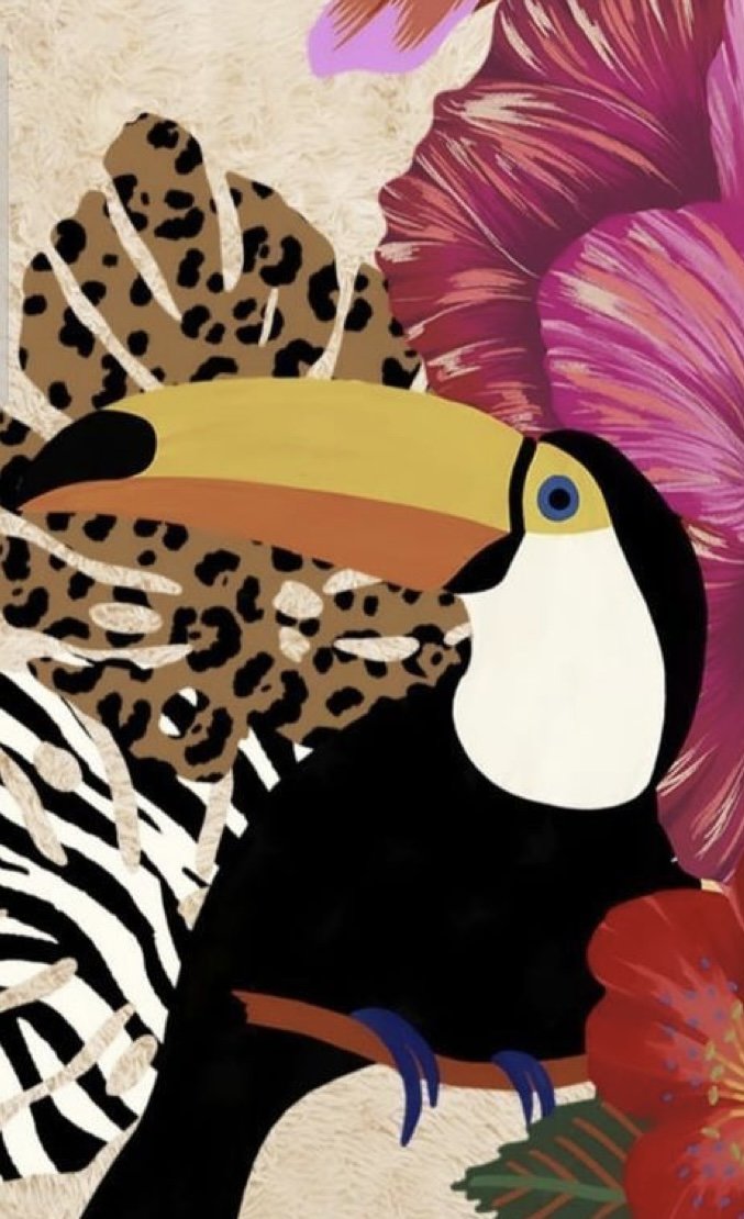 тукан - оригинал