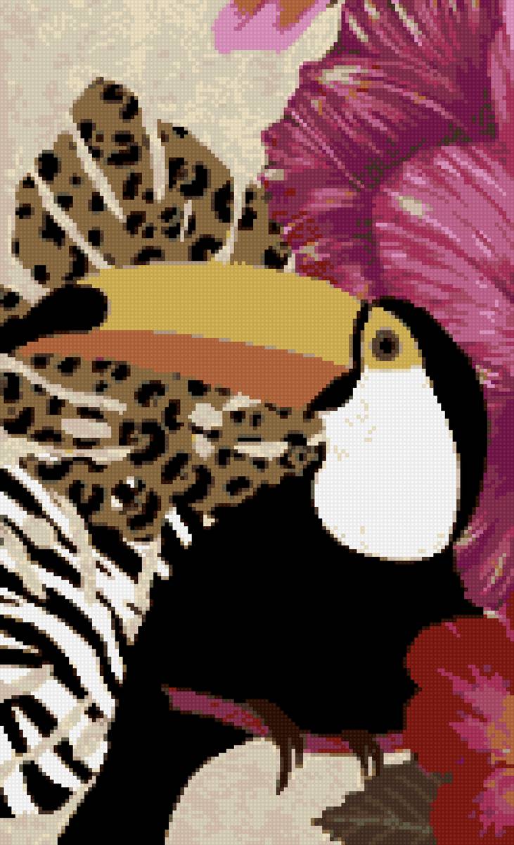 тукан - предпросмотр