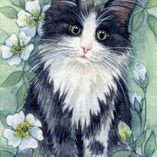 Схема вышивки «№2570034»