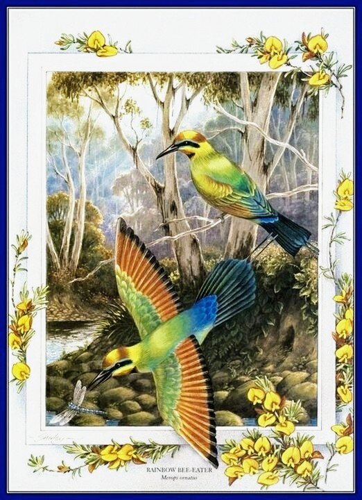 №2570275 - птицы, пара - оригинал