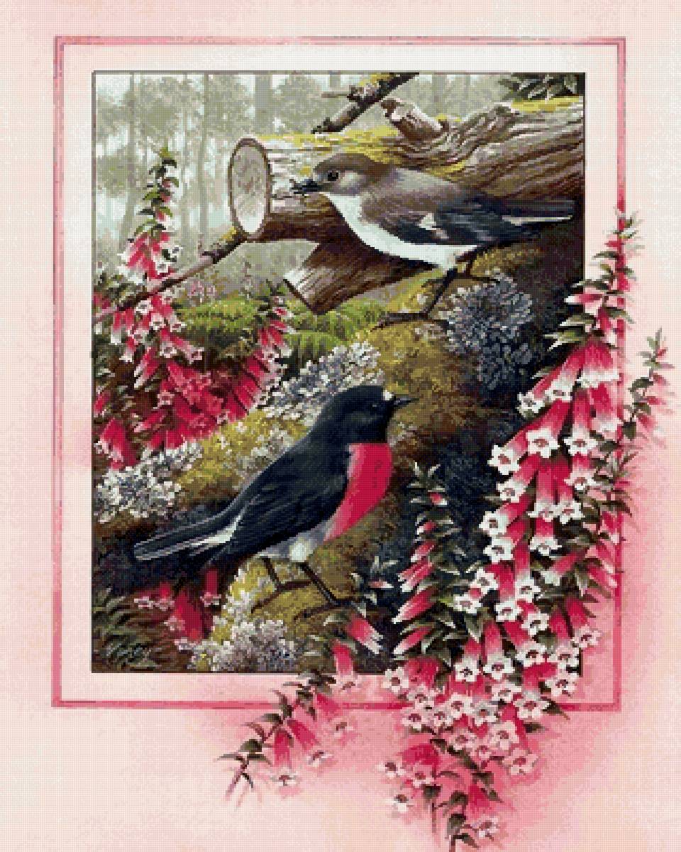 №2570277 - пара, птицы - предпросмотр