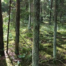 Схема вышивки «Привет из Сумерек»