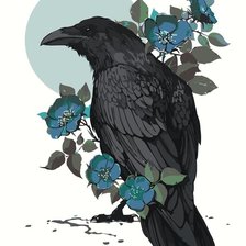 Схема вышивки «ворона»