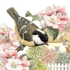 Схема вышивки «Птица»