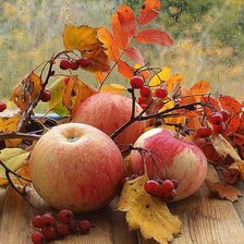 Схема вышивки «№2570965»