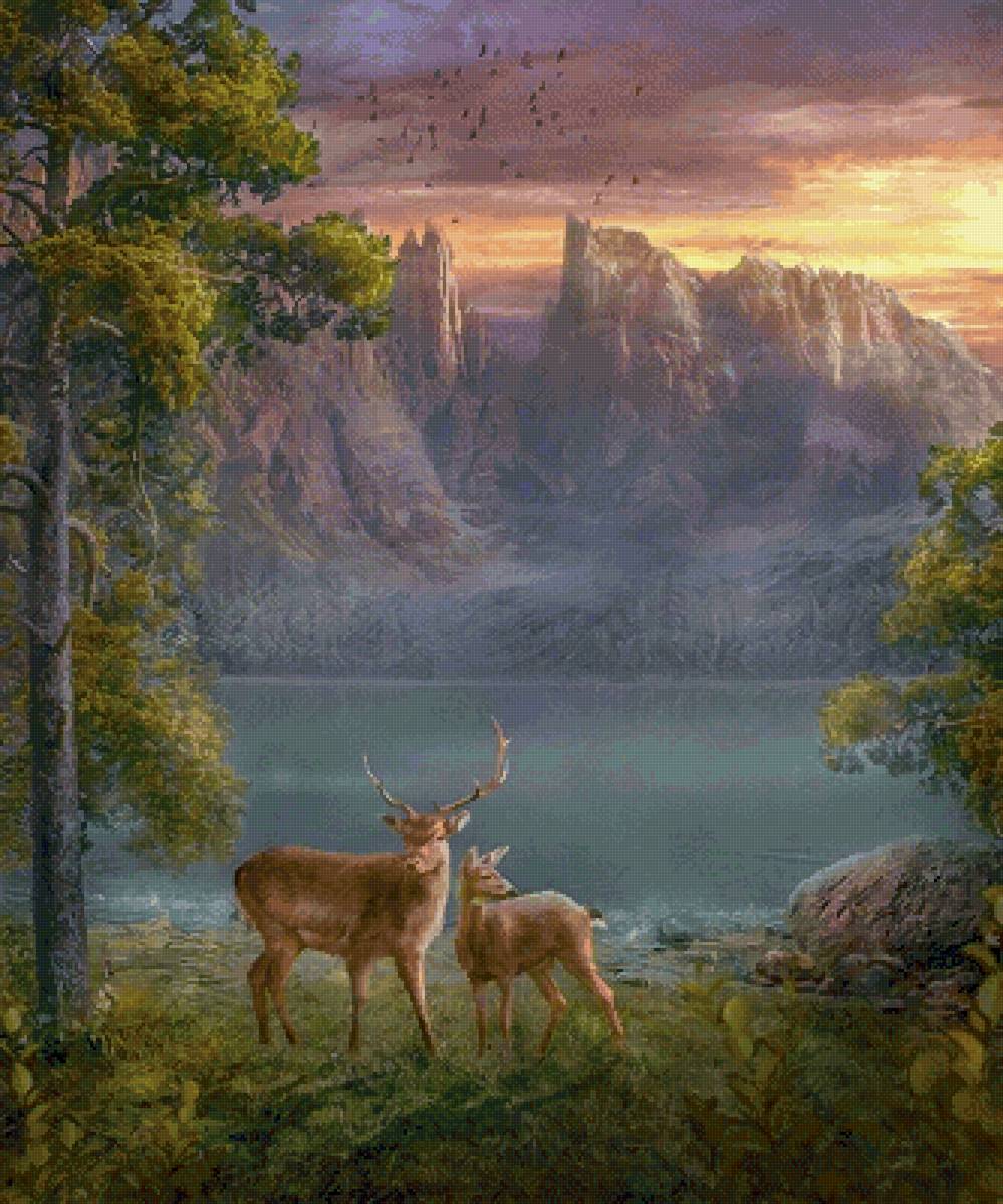 Олени - вода, олени, пейзаж - предпросмотр