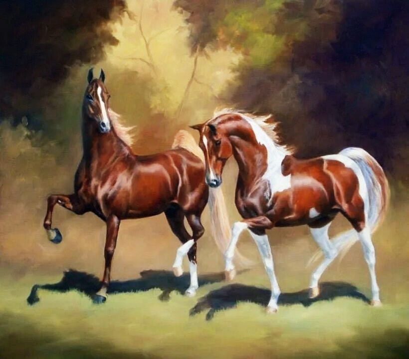 №2572268 - кони, пара, животные - оригинал