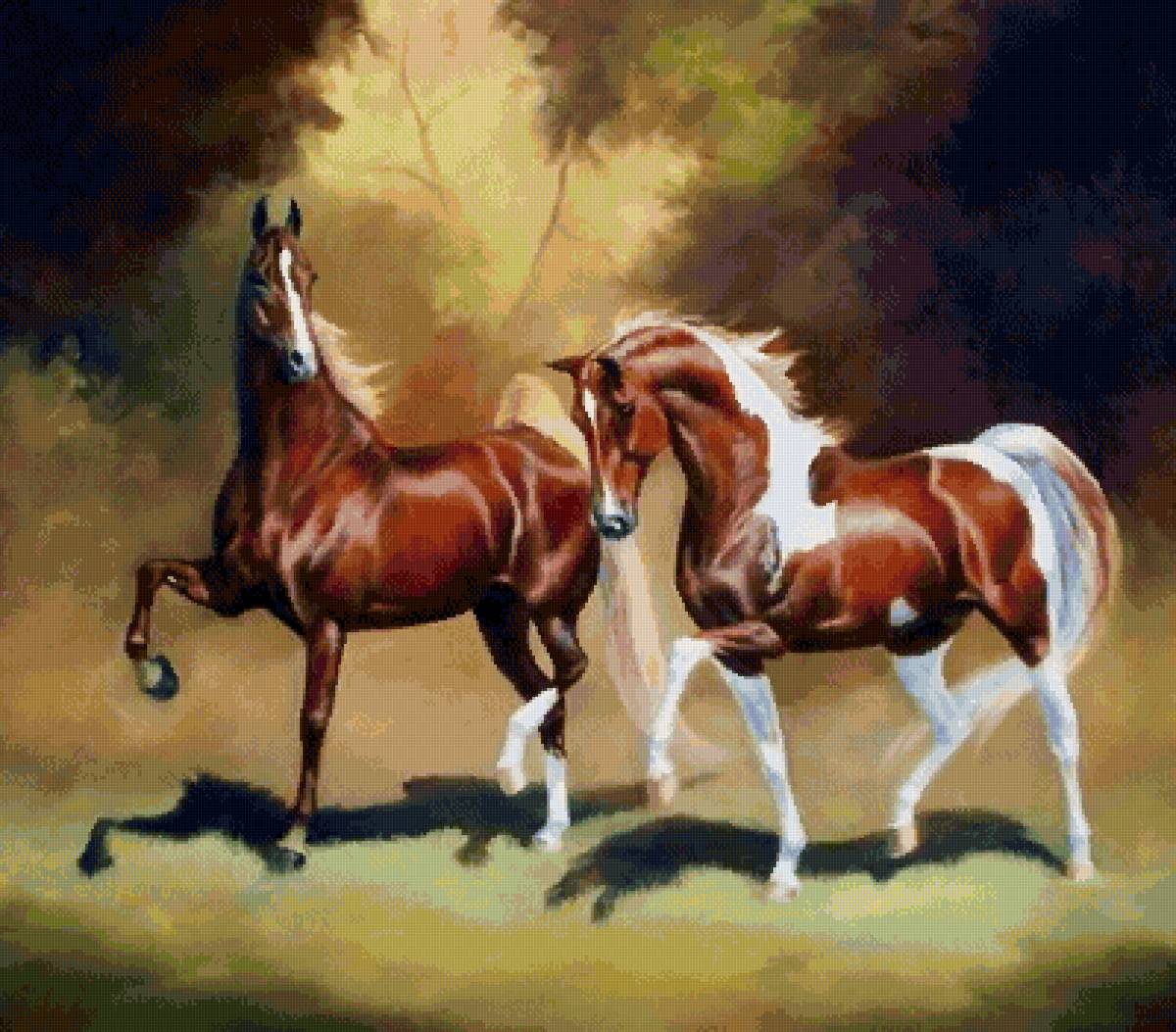 №2572268 - животные, пара, кони - предпросмотр