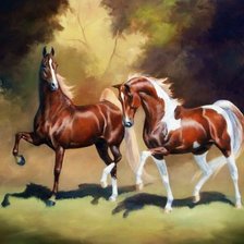 Схема вышивки «№2572268»